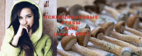 ешки Алексин