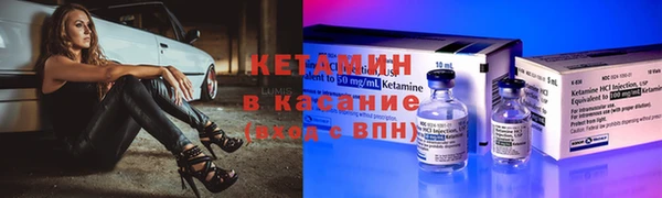 сатива Алзамай
