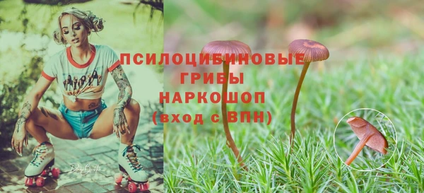 сатива Алзамай