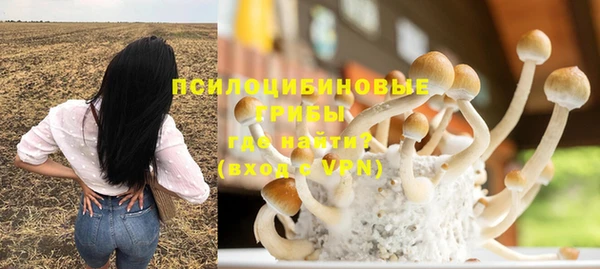 сатива Алзамай