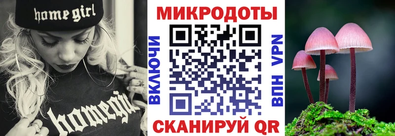 купить цена Асино mega зеркало Галлюциногенные грибы ЛСД