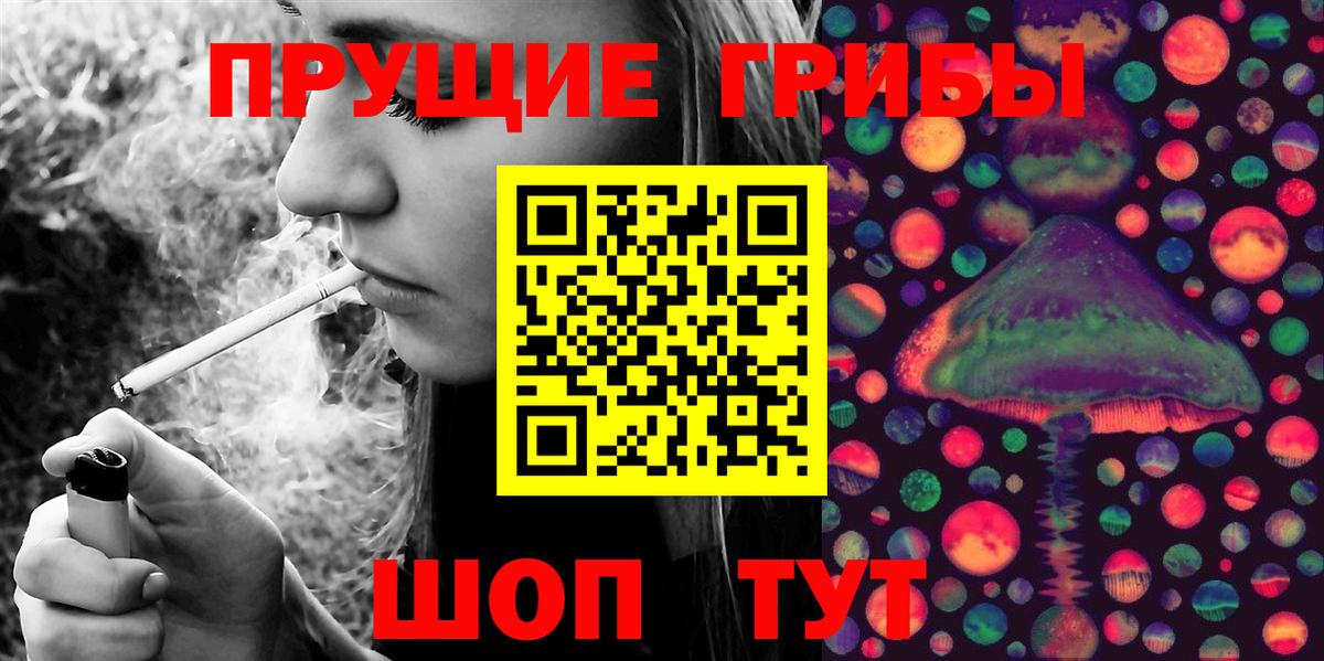 купить наркотики цена  Галлюциногенные грибы Psilocybine cubensis  Вход с VPN  Псилоцибиновые грибы Cubensis  Асино 