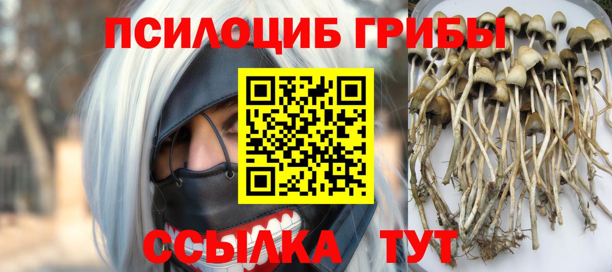Галлюциногенные грибы мухоморы Асино